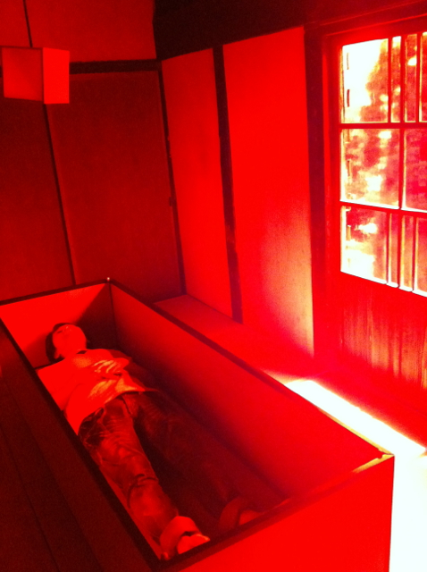 真っ赤な部屋に棺桶のベッド…宿泊できるアート作品「夢の家」が怪しすぎる