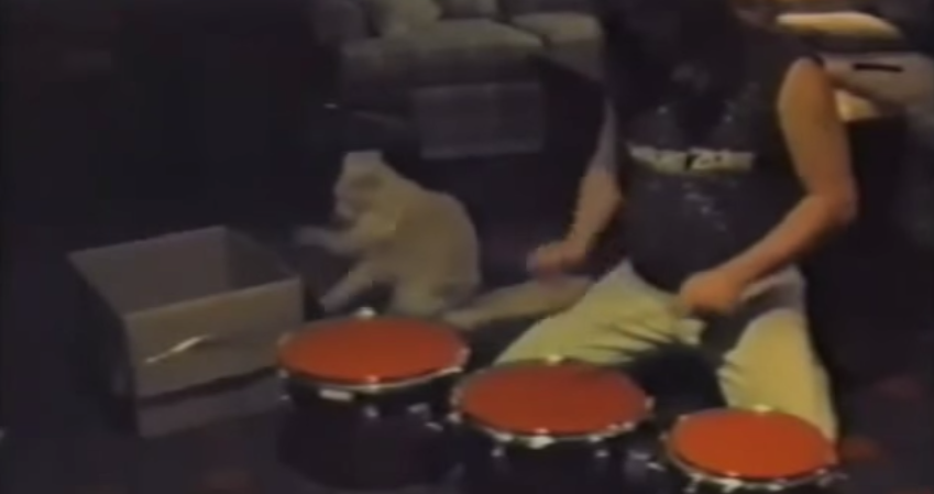 猫がドラマーの演奏に合わせてダンボールを叩く！奇跡のセッション動画が可愛すぎ