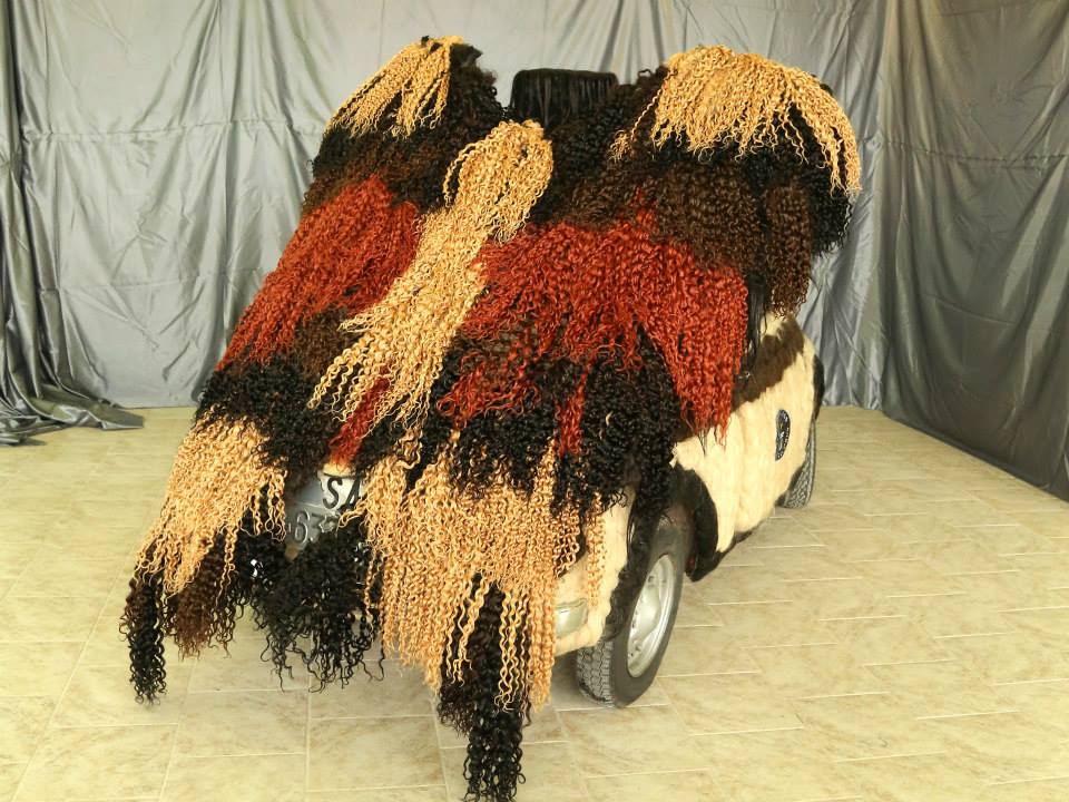 【理解不能】「世界で一番髪の毛だらけの車」がギネス認定