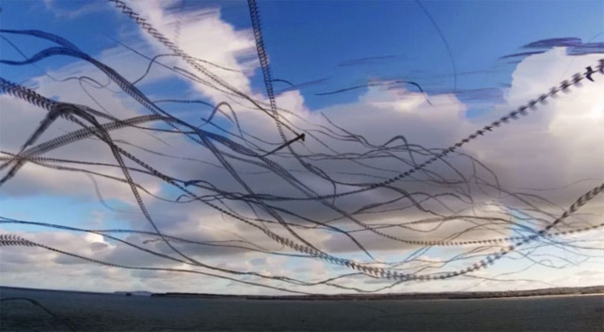 まるで空に模様を描いているよう！鳥の飛行経路をまとめた動画が、不思議な映像美