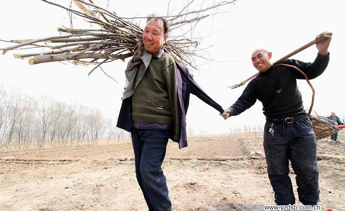 まさに現代の『木を植えた男』！盲目の男性と両腕を失った男性、2人で10年かけ1万本を植樹