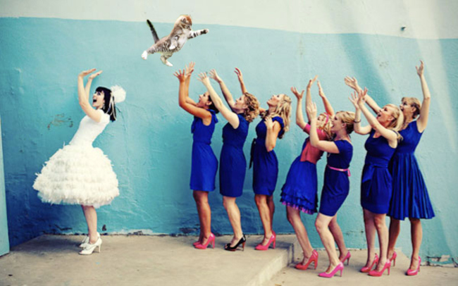 もし結婚式のブーケトスを猫でやったら…謎の妄想を再現した合成写真28選
