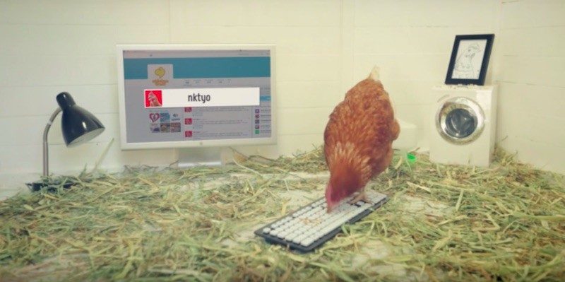 【新手のブラック企業】鶏肉食品の会社が鶏にTwitterの運用を任す