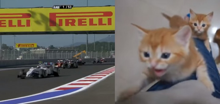 F1のレース音を子猫の鳴き声に挿げ替えると 脱力感で満載になる 中2イズム