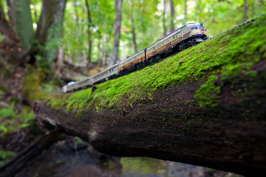 canadian-train-quebec-forest__880