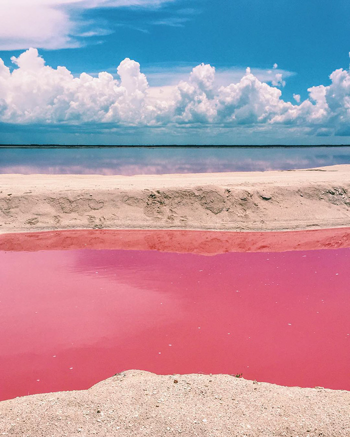 pink-lagoon-las-coloradas-mexico-1