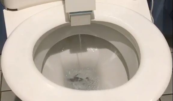 【必見】便座が回転！衝撃的な洗浄方法のトイレをドイツで発見