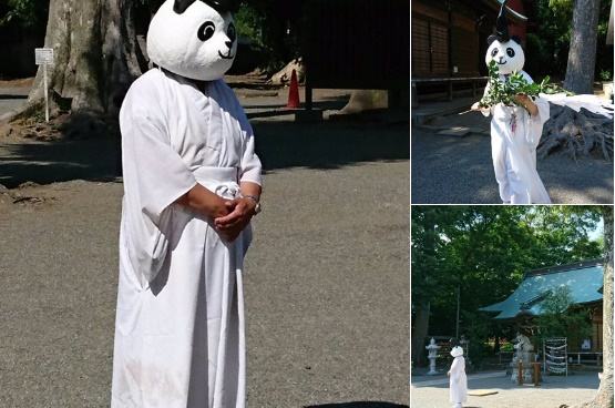 神奈川の有鹿神社にパンダのかぶり物をした宮司がいる…その理由とは!?