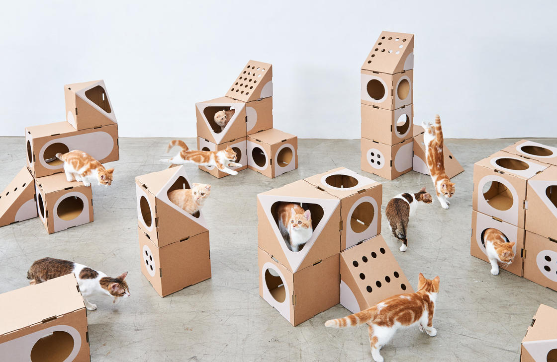 ネコさま大喜び！組み合わせ自由な猫用の小部屋「Room Collection」