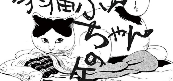 飼い主が孤独死して 短編漫画 家猫ぶんちゃんの一年 に号泣する読者続出 中2イズム