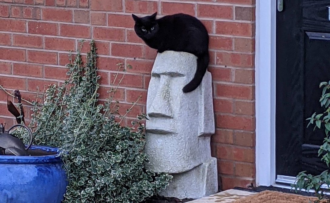 【衝撃画像】モアイ像をエルヴィス・プレスリーにした猫現る
