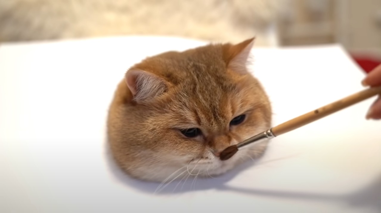 生きてるみたい 猫の描き方講座 動画が完全に 掻き方講座 で癒やされる 中2イズム