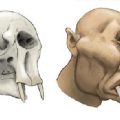 ギリシア神話に登場するサイクロプスのモデルは象の頭骨!?比較イラストがそっくり