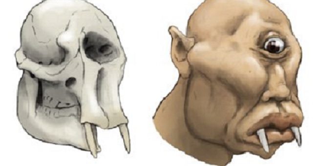 ギリシア神話に登場するサイクロプスのモデルは象の頭骨 比較イラストがそっくり 中2イズム