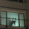 オバケならぬおバック…窓辺に写る黒髪女性の幽霊と思いきやよく見ると全く違う心霊写真